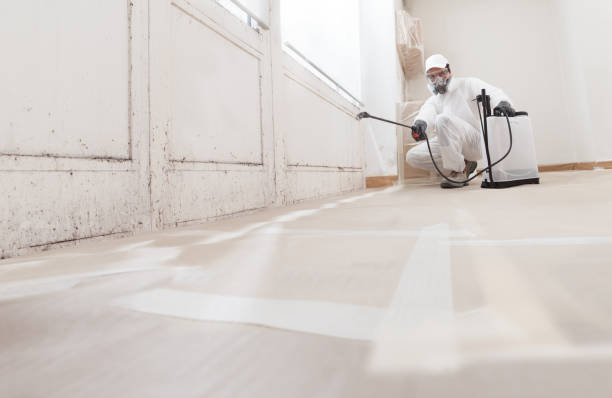 24/7 Emergency Basement Mold Remediation experts in Tucker, GA