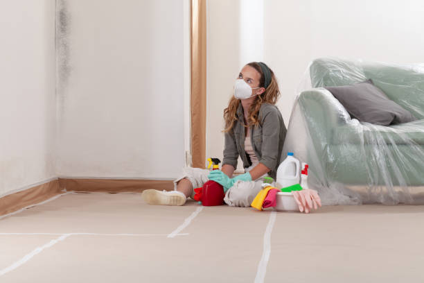 Reliable Basement Mold Remediation contractor in Tucker, GA by WQB Mold Removal